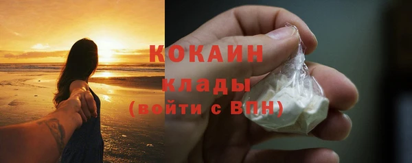 ECSTASY Лагань