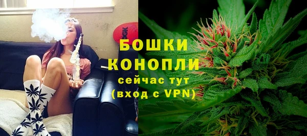 тгк Ладушкин
