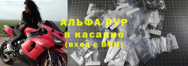 индика Кукмор