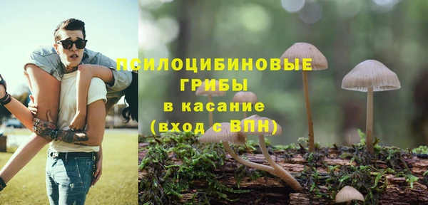 тгк Ладушкин