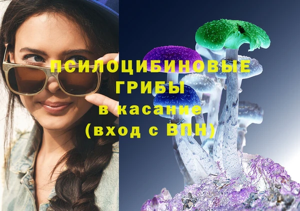 тгк Ладушкин