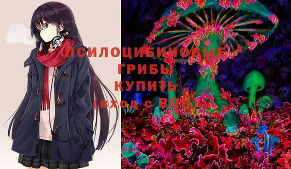 тгк Ладушкин