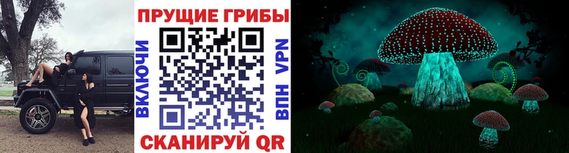 Галлюциногенные грибы мухоморы  Купить закладки  Тара 